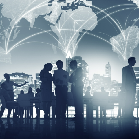 Executive Insights Newsletter